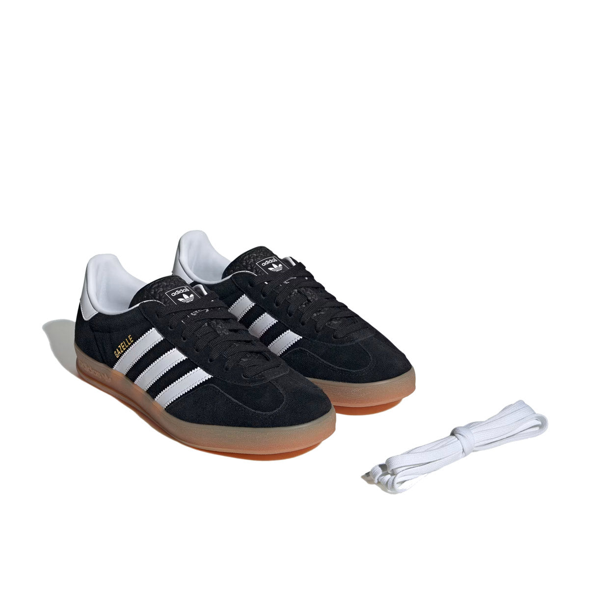 Gazelle Indoor