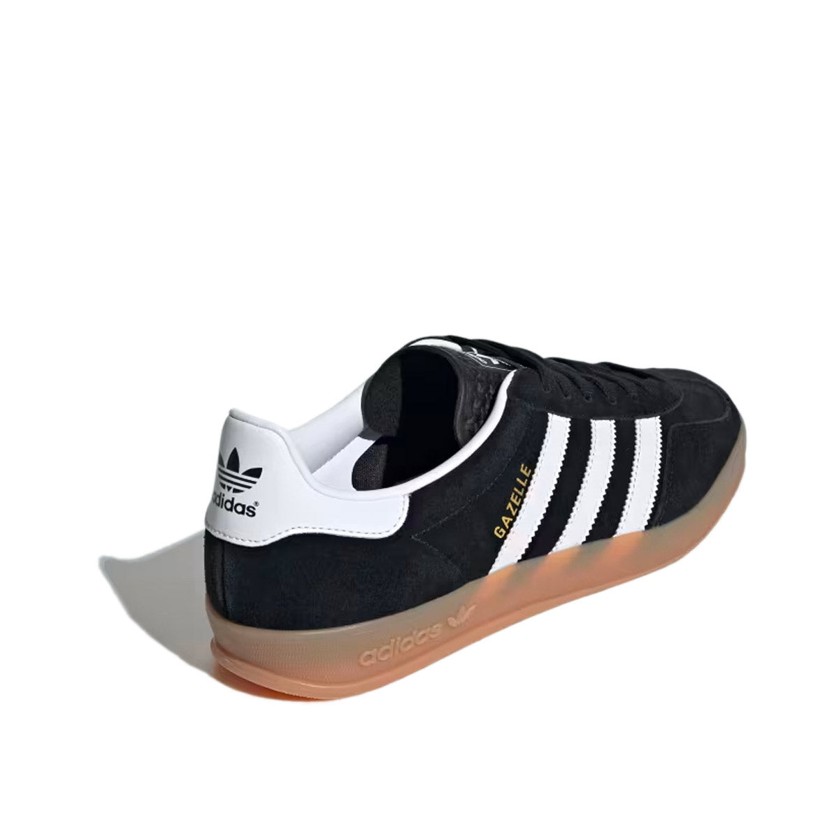 Gazelle Indoor