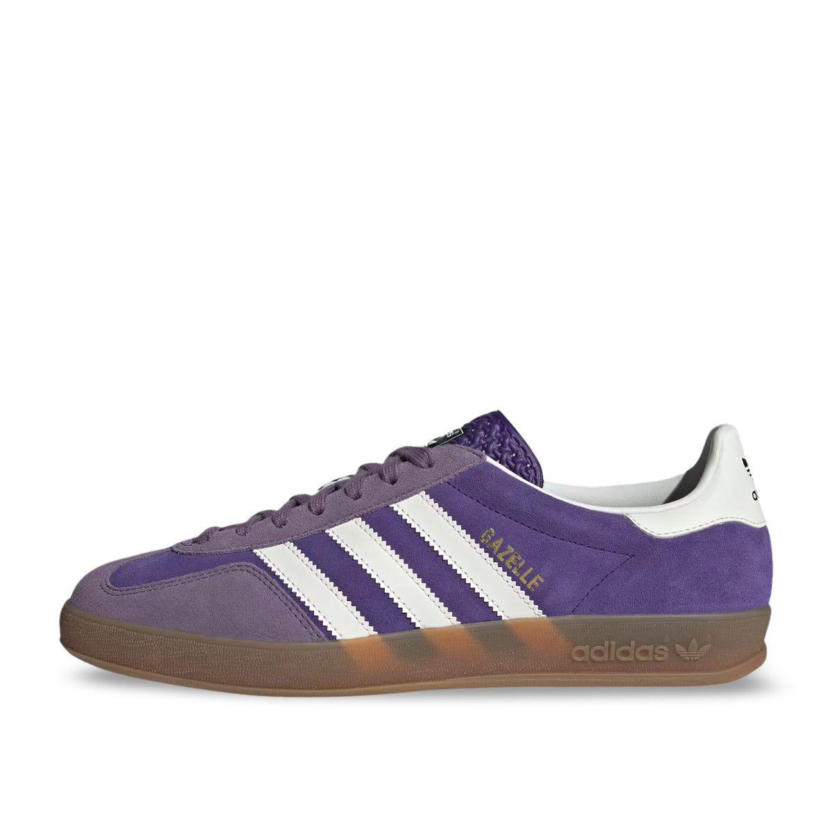 Gazelle Indoor