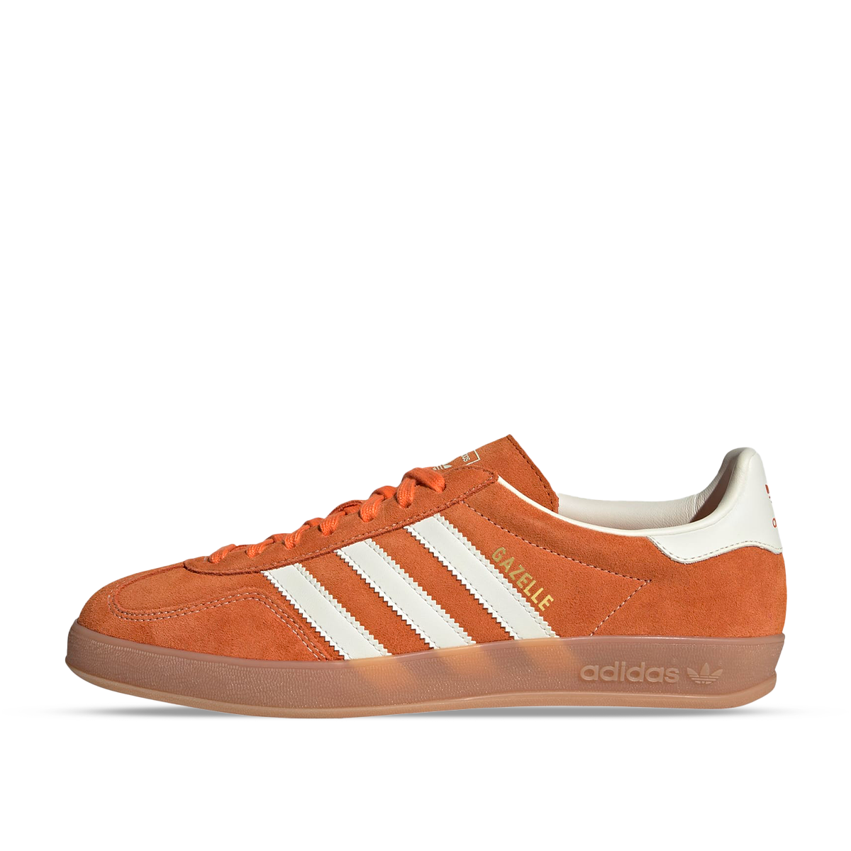 Gazelle Indoor