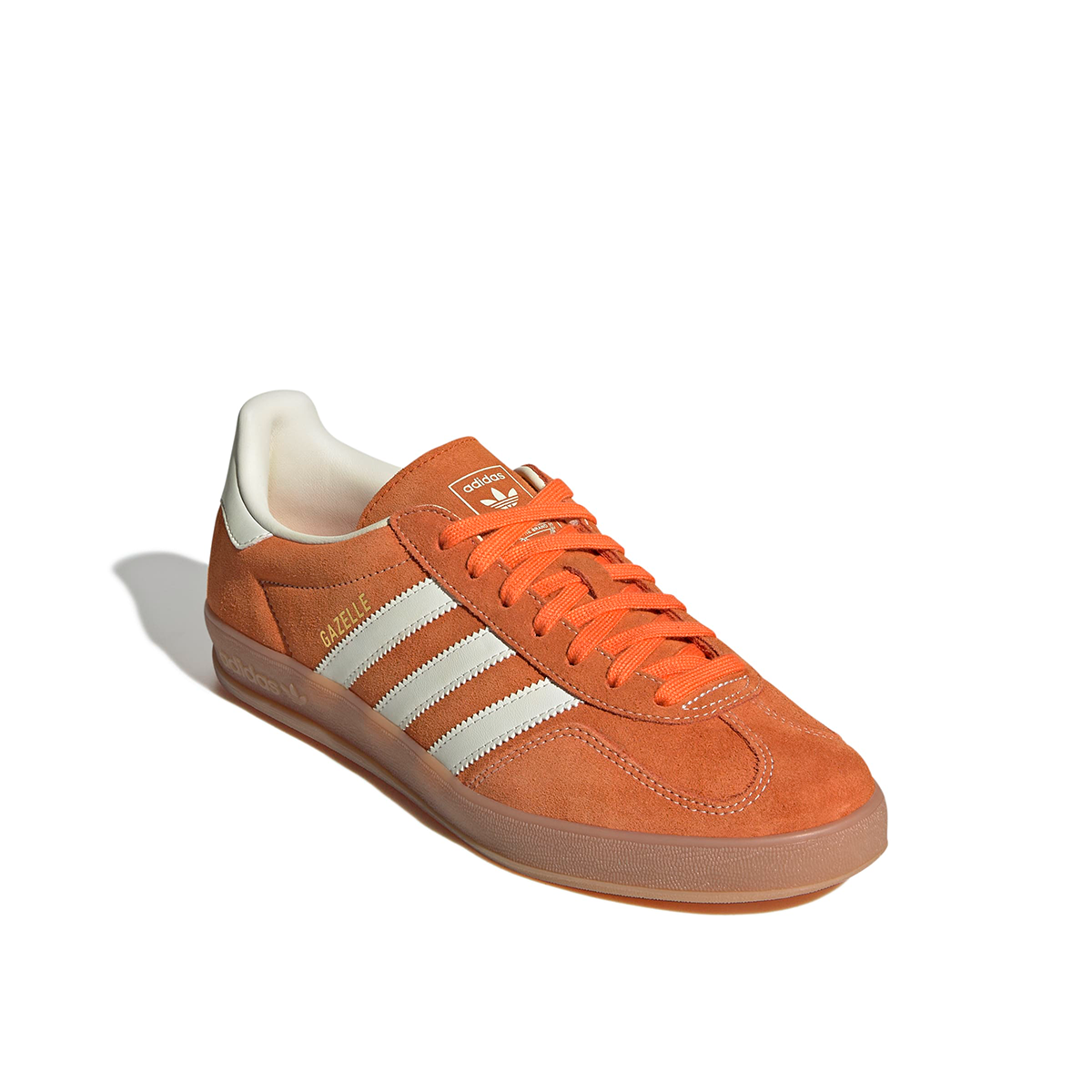 Gazelle Indoor